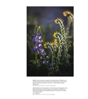 Arizona Highways Magazine March 2024