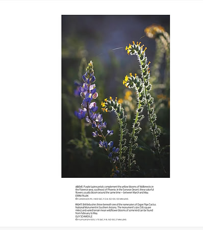 Arizona Highways Magazine March 2024