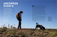 Arizona Highways Magazine October 2024