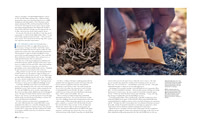 Arizona Highways Magazine October 2024