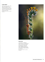 Arizona Highways Magazine The Year In Pictures 2024